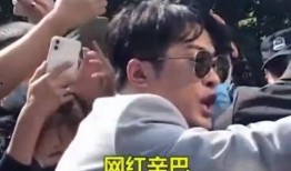 爆料辛巴燕窝视频播放,揭秘网红燕窝背后的真相